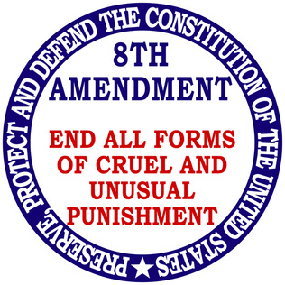 summary of 8 amendment